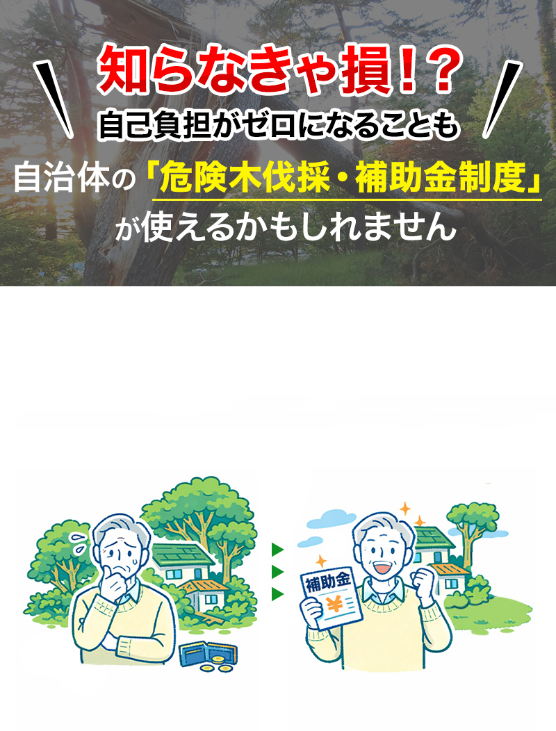 補助金制度