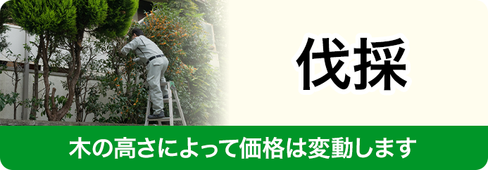 伐採料金
